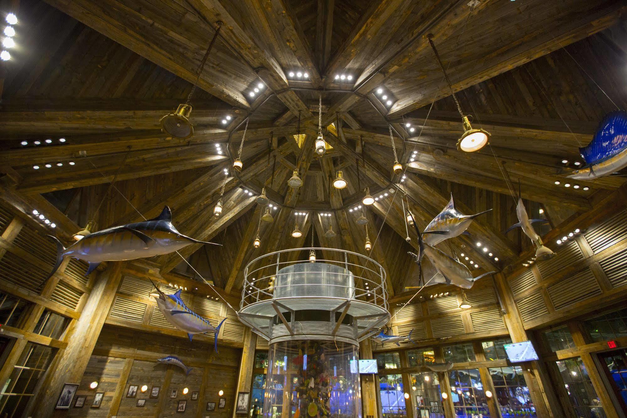 Resort Big Cypress 5*
