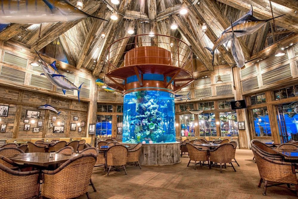 Resort Big Cypress 5*